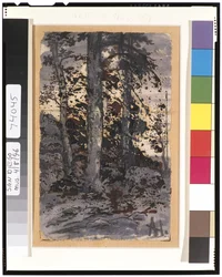 Winter Landscape